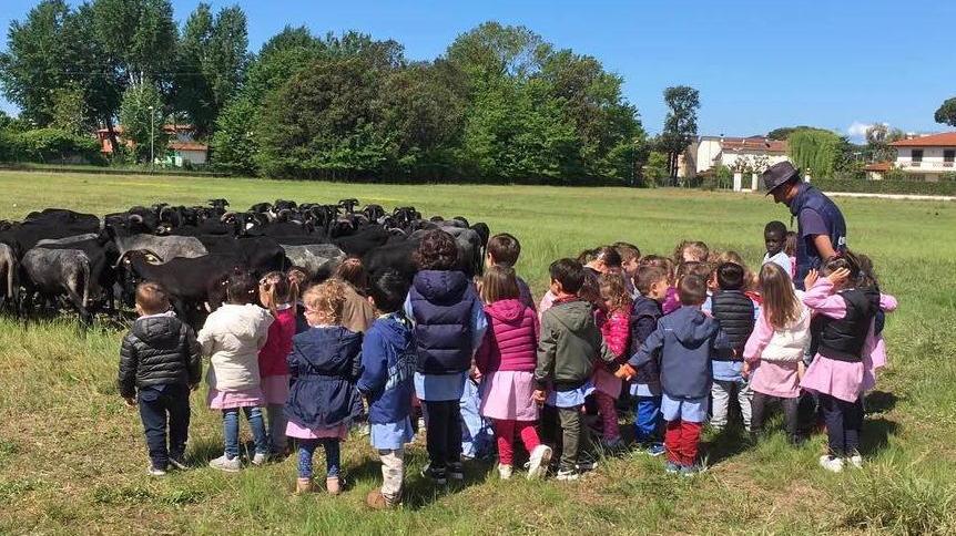 Gli alunni della Delâtre premiati dal Parco