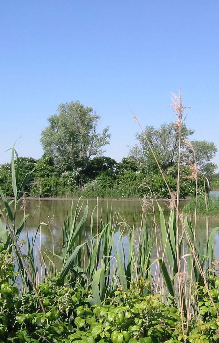 Centro estivo diurno alle Vallette 