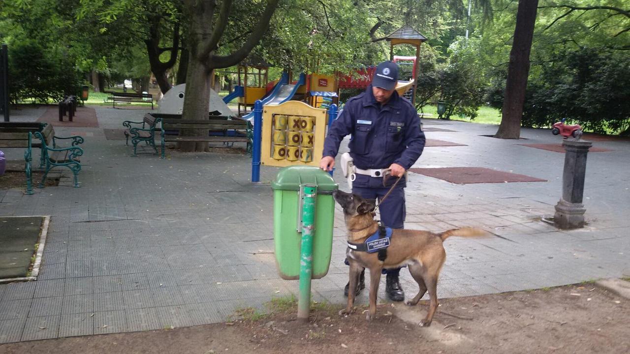 Controlli nei parchi di Modena con Axel, il cane poliziotto
