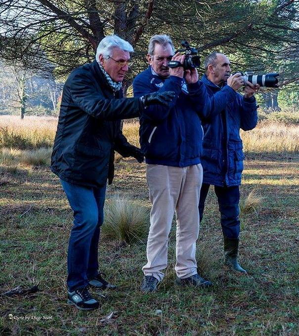 Il film sui cavalli della Valgraziosa 