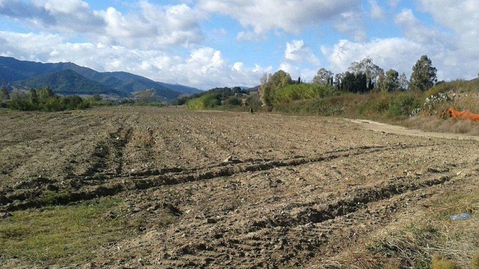 Appello di Coldiretti e sindaci «Non piove, raccolti a rischio» 