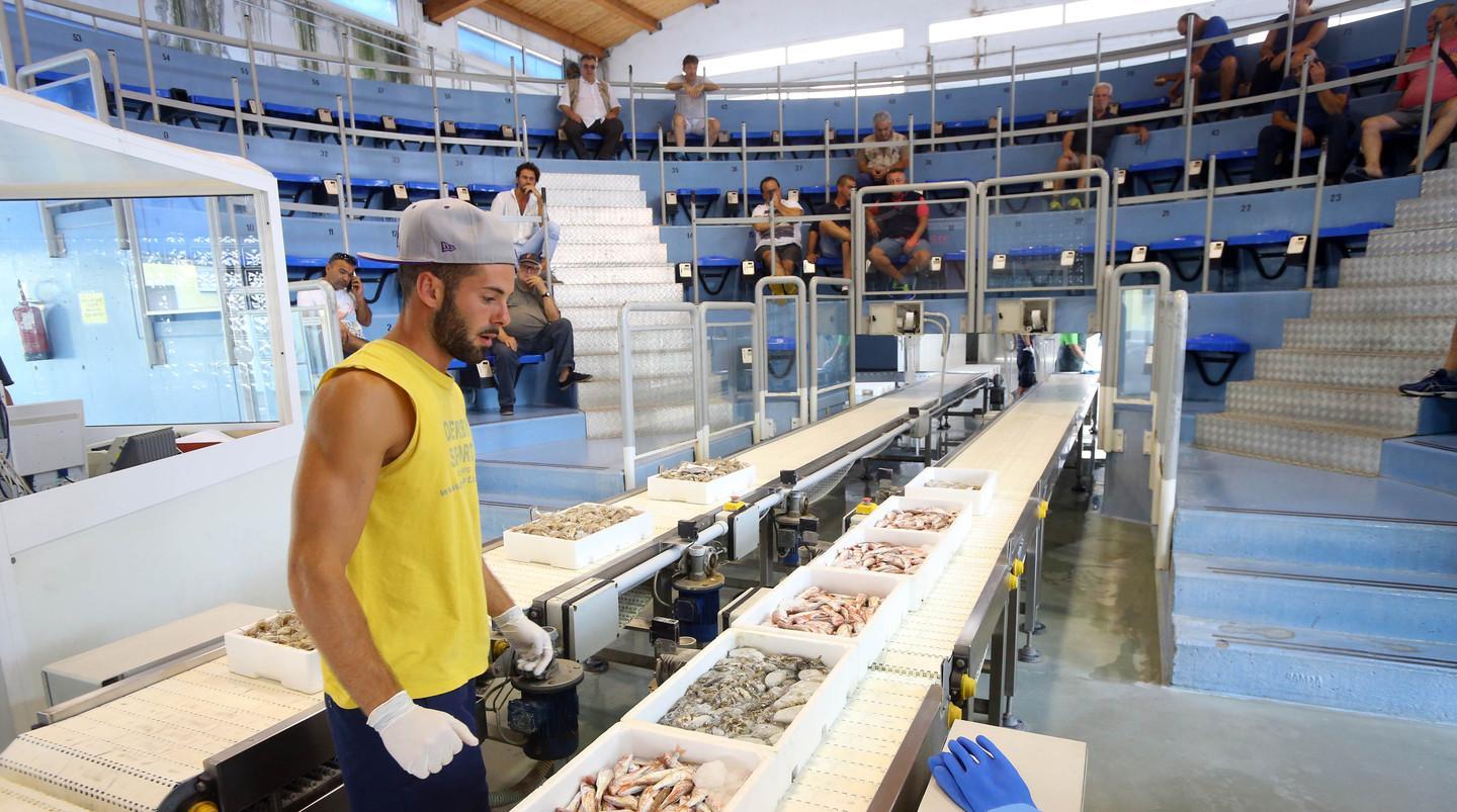 Fondi ad uso privato per incentivare pesca e mercato ittico