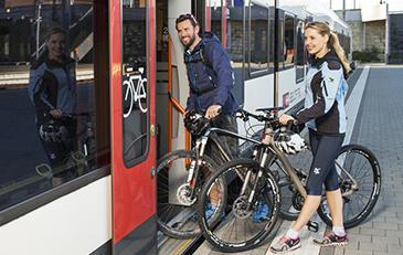 Pomposia, un itinerario per scoprire il Delta in bici 