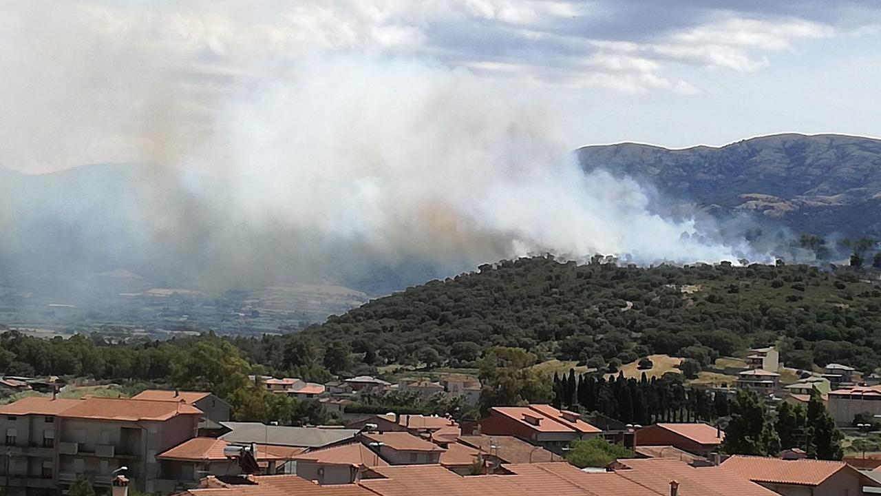 L'incendio vicino all'abitato di Guspini (foto Luciano Onnis)