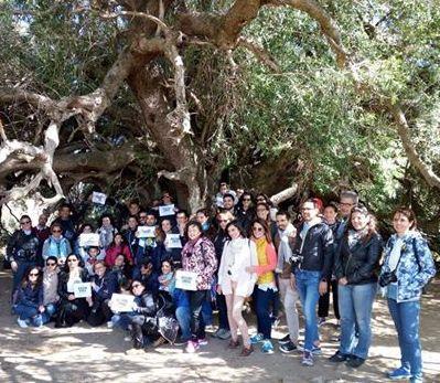 Dal lago agli olivastri, un’ondata di foto