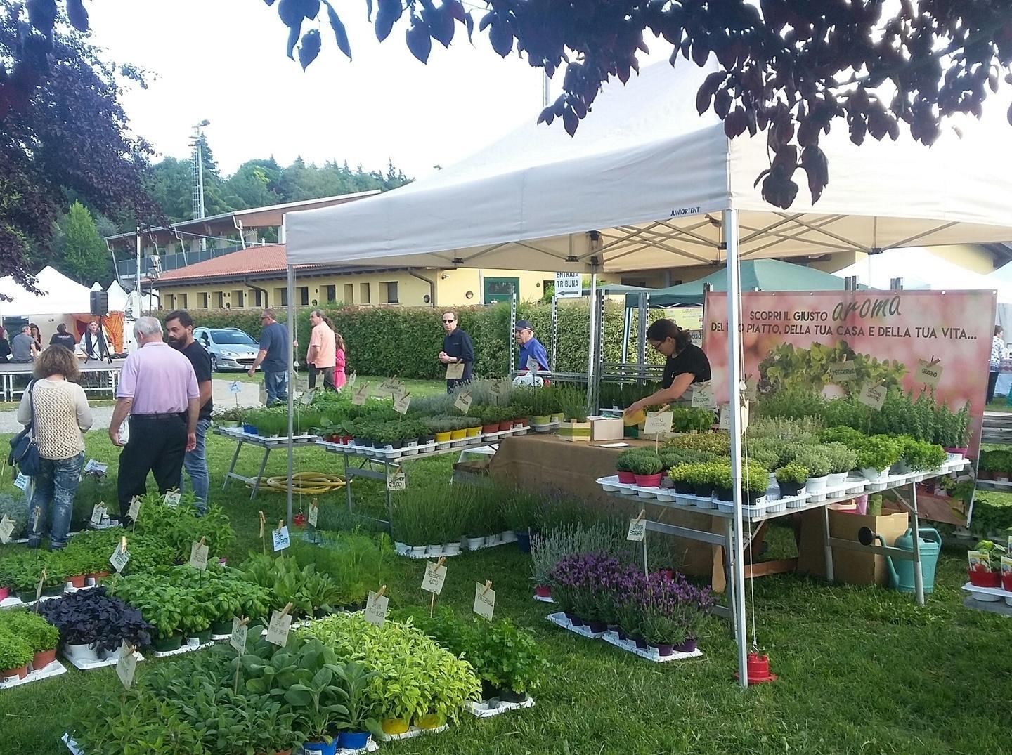 La fiera delle erbe aromatiche 