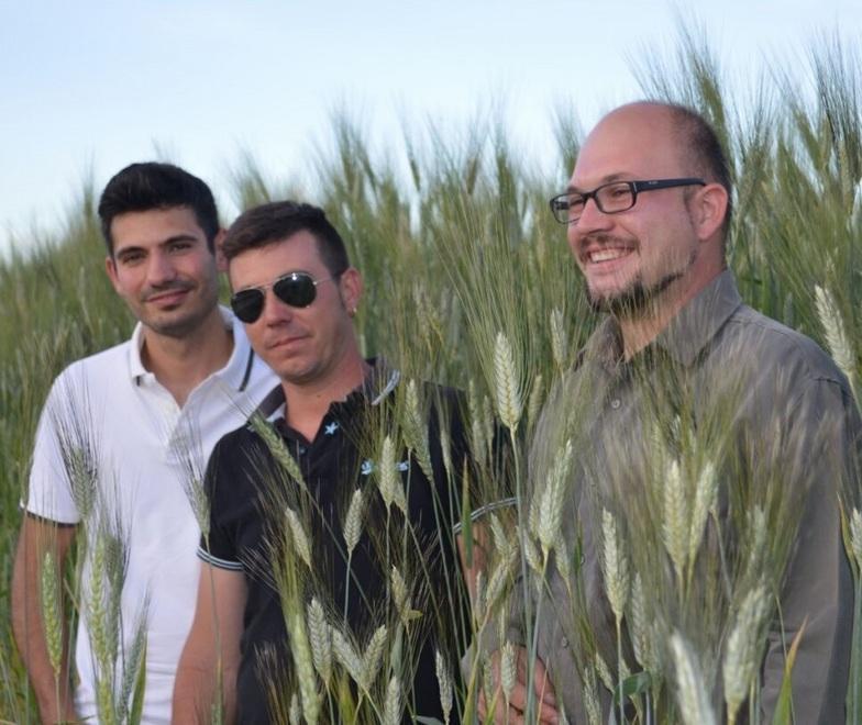 Quei 4 giovani custodi degli antichi semi del grano 
