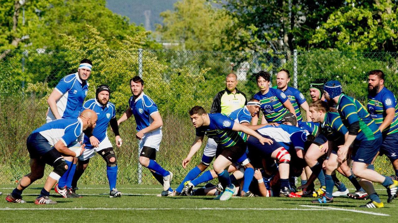 Rugby, uno stop per i Cinghiali Bianchi
