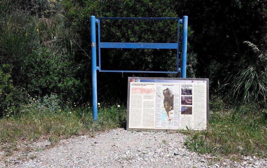 Cartello staccato, auto in divieto, erba alta 