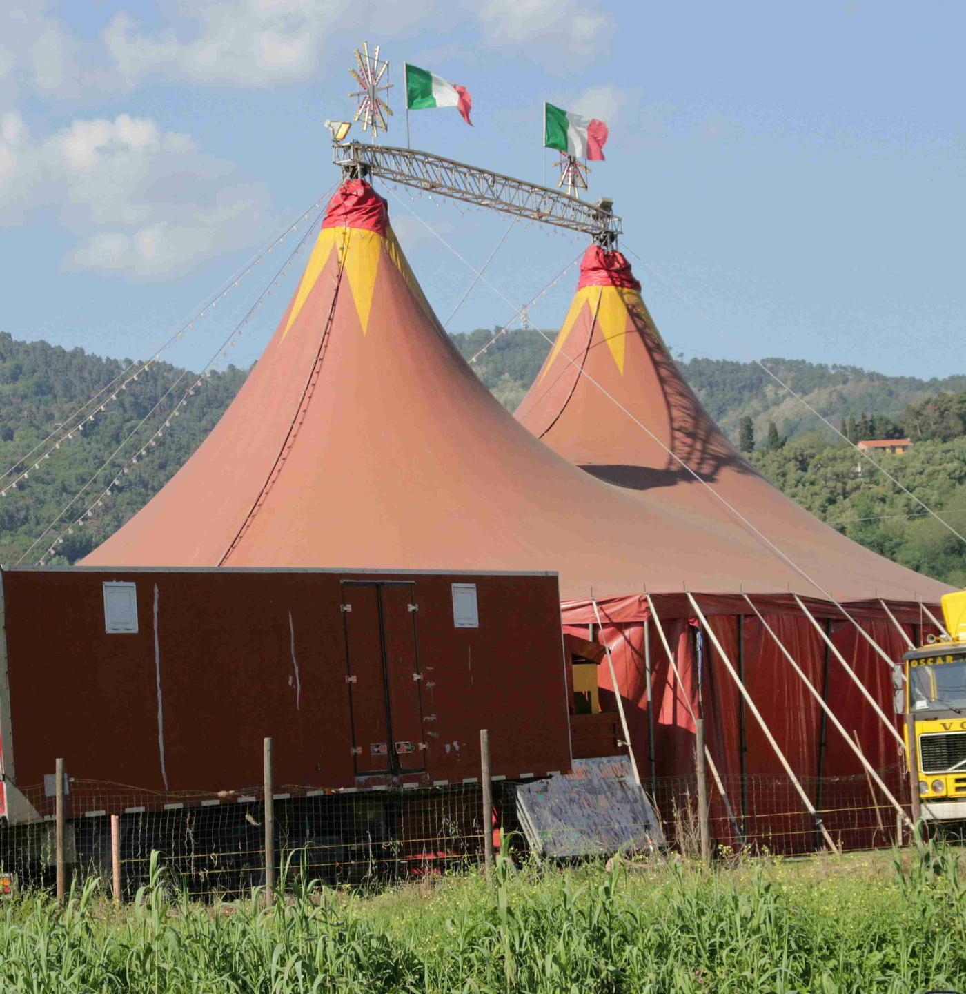 Arriva il circo scoppia sul web la polemica degli animalisti