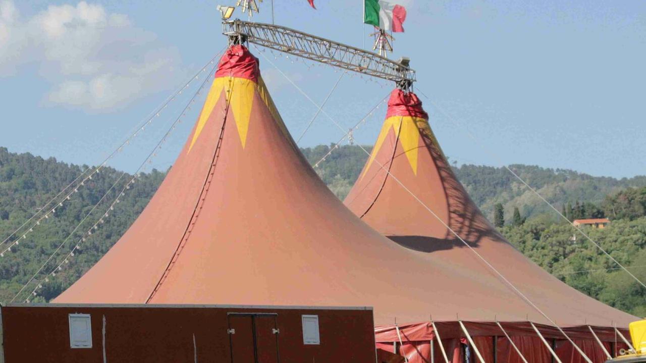Arriva il circo scoppia sul web la polemica degli animalisti