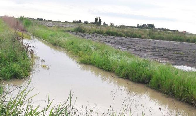 Forte grandinata nel Copparese