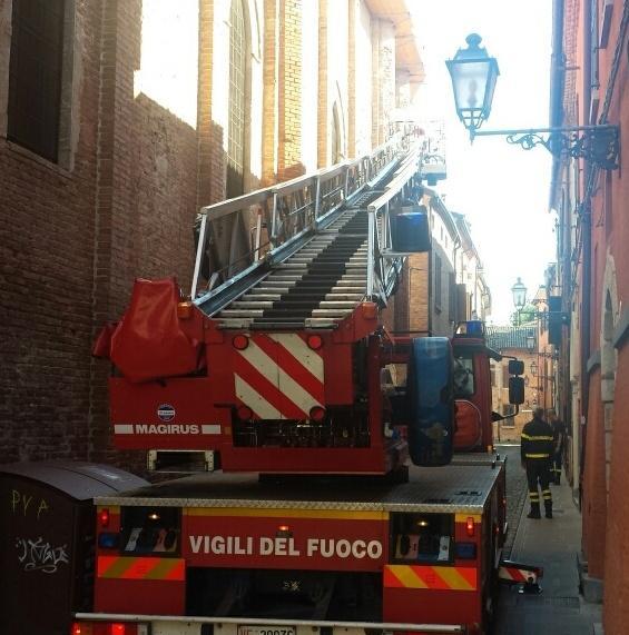 Api nella chiesa di S. Antonio Il grosso sciame è tra i muri