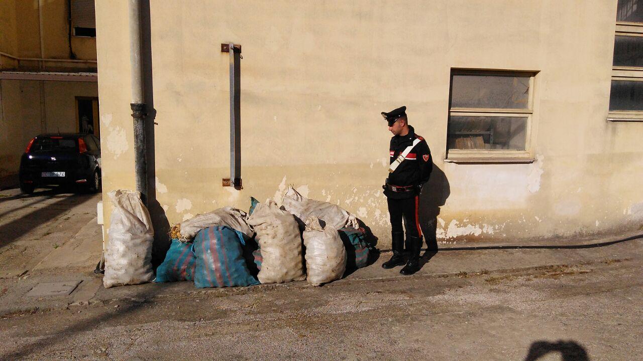 Villasor, sorpresi con 500 chili di patate rubate: arrestati