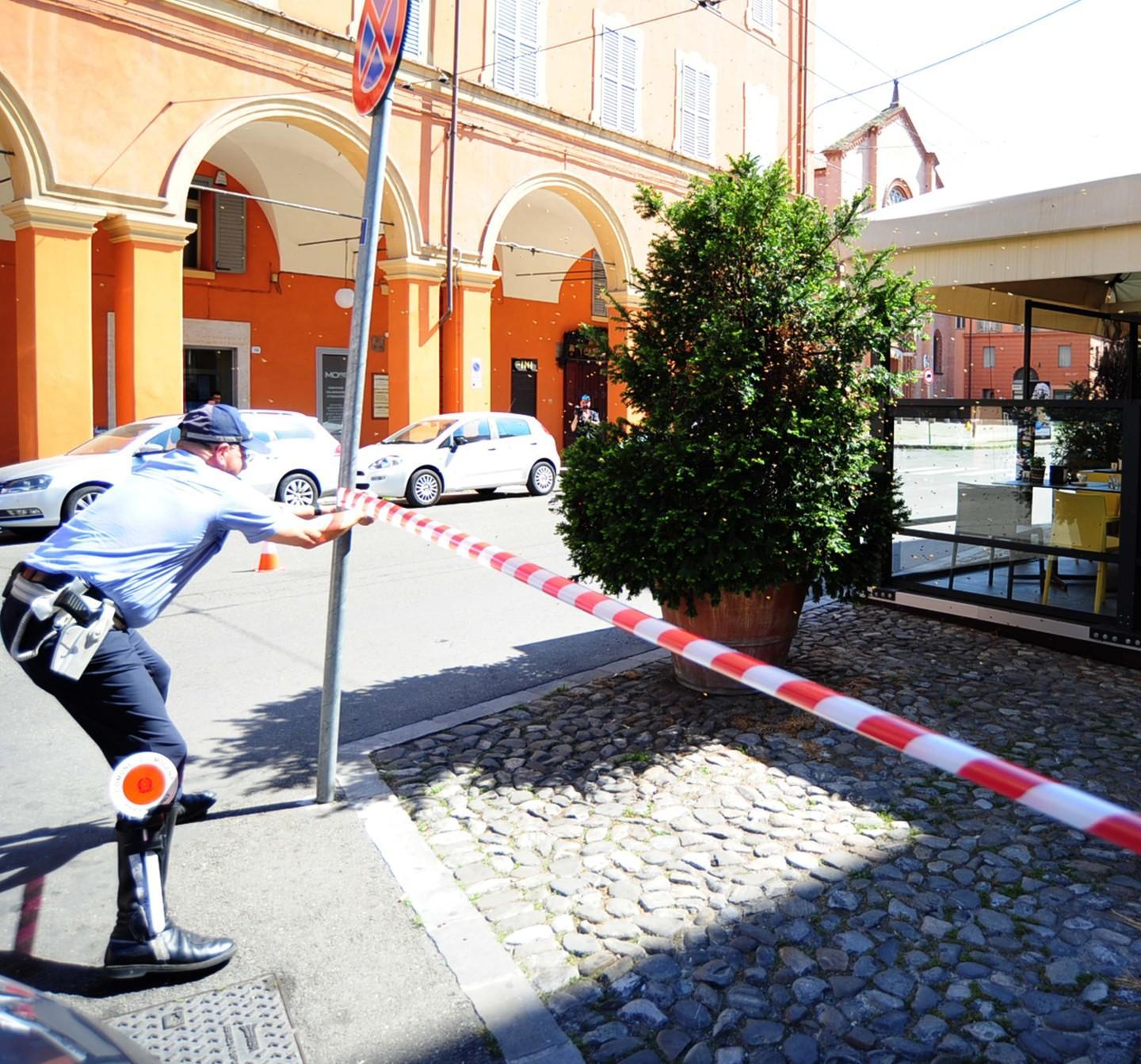 Modena, paura e meraviglia: sciame di 40mila api si posa nel dehors  