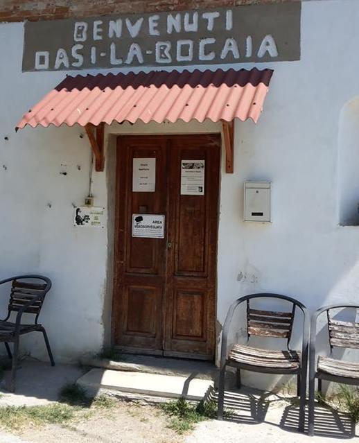 Ladri all’oasi felina della Bogaia ma il bottino è magro