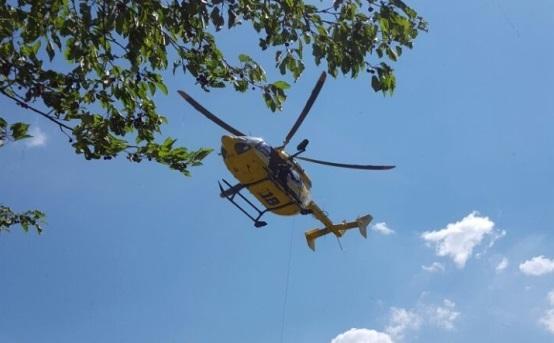 Cade da un ciliegio e picchia la testa: grave pensionato 