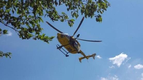 Cade da un ciliegio e picchia la testa: grave pensionato