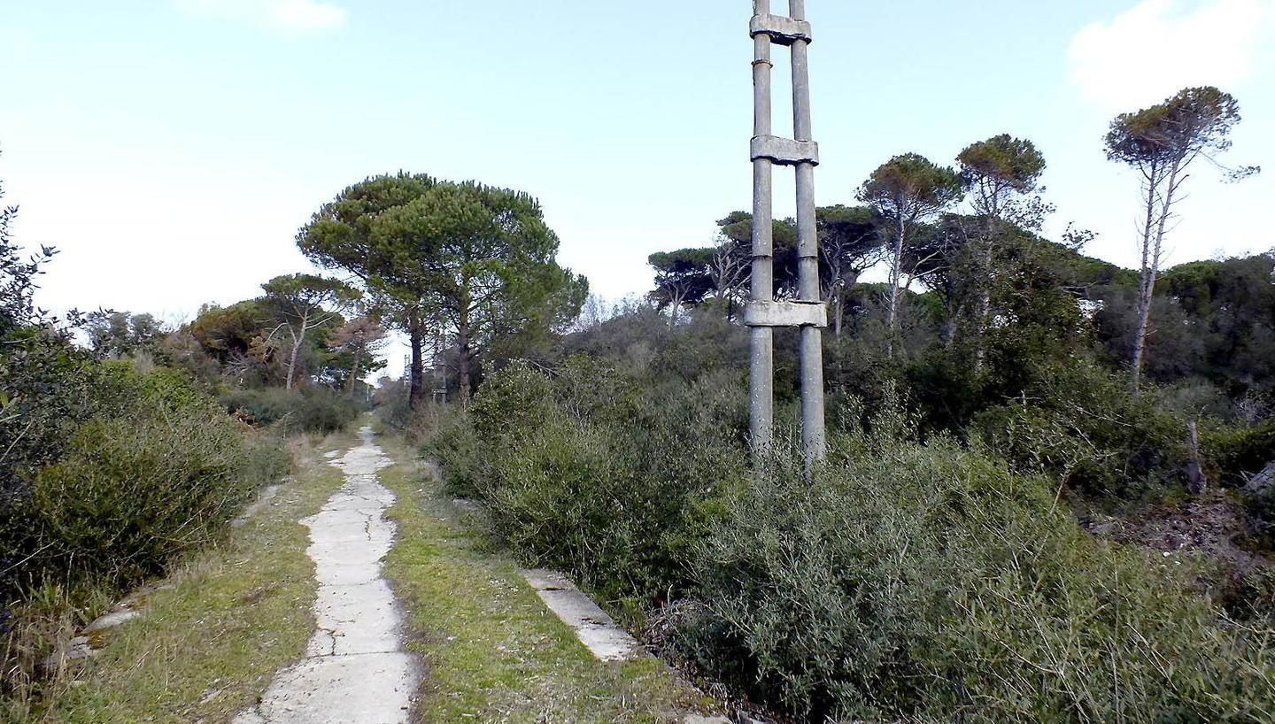 Nuovo ponte ciclopedonale sull’Arno: progetto okay 