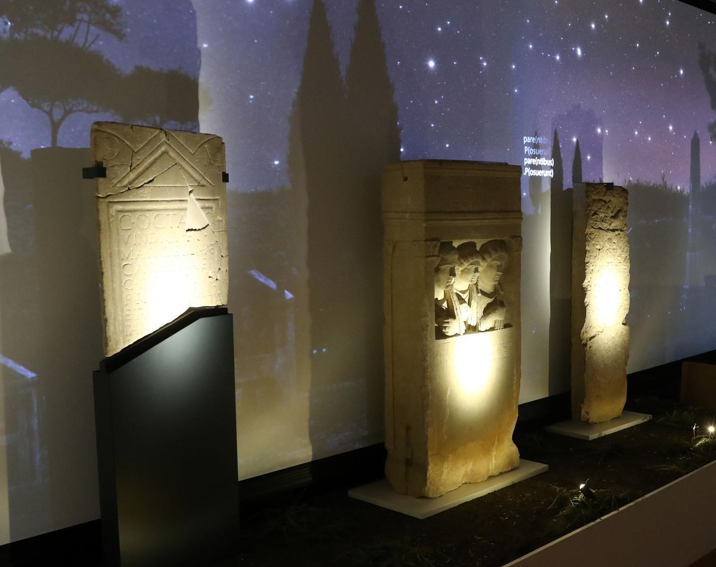 Notte europea dei musei. Arte e storia al chiaro di luna