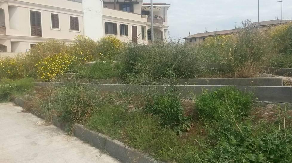Le erbacce invadono tutti i quartieri È allarme igiene 