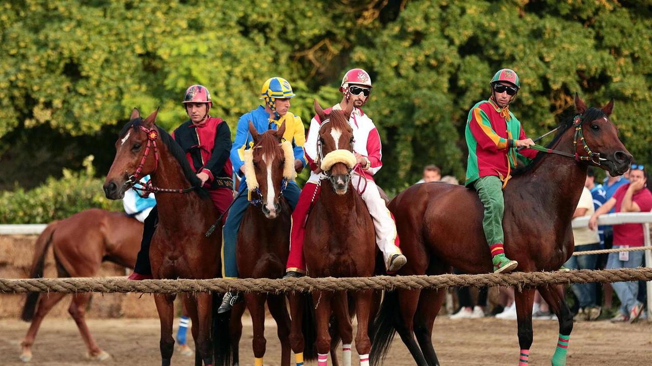 San Pierino, corsa a rischio per l’infortunio del cavallo