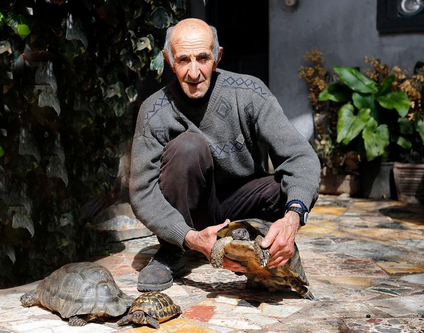 Nicola Porcu: «Davo da mangiare ai gatti e il cancello è caduto»