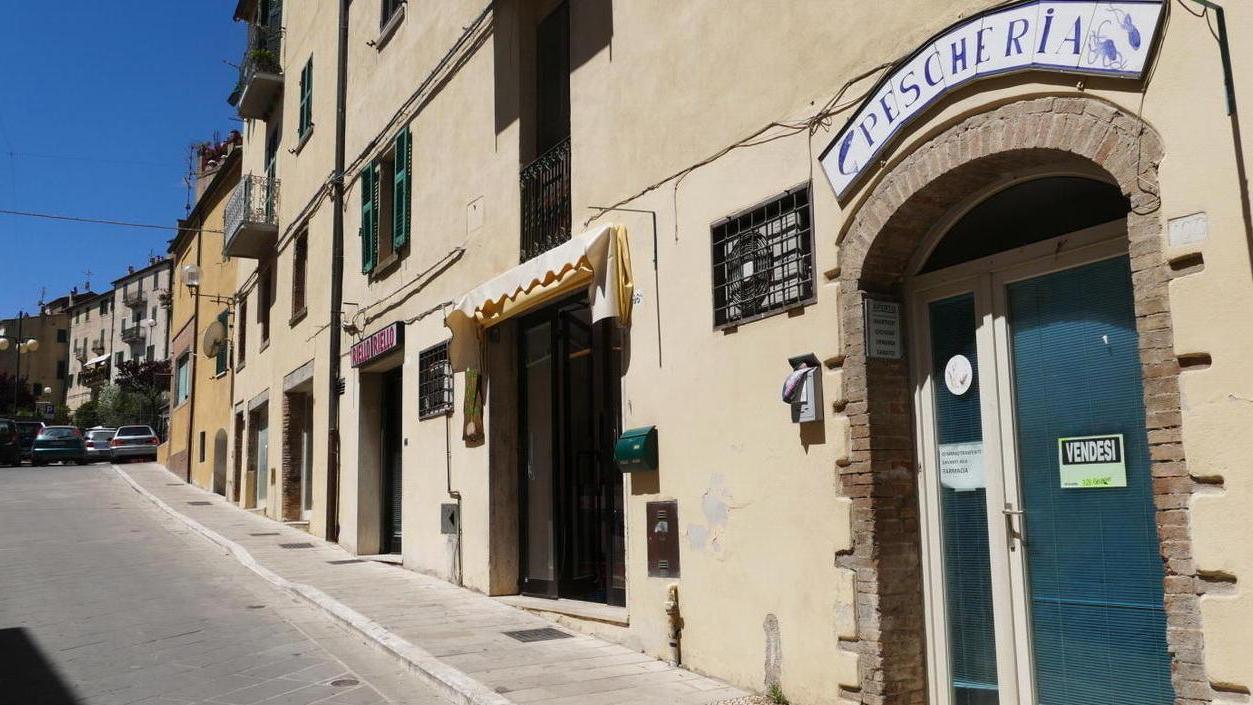 Decoro urbano Che fine ha fatto lo studio dell’ateneo?