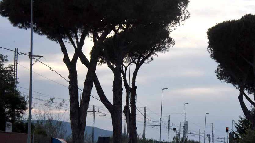 La vana attesa al Noa «Chi lo ha investito abbia coscienza»