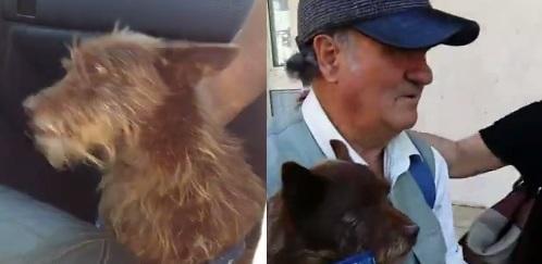 Rochi finalmente tra le braccia del suo padrone
