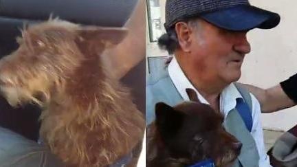 Rochi finalmente tra le braccia del suo padrone