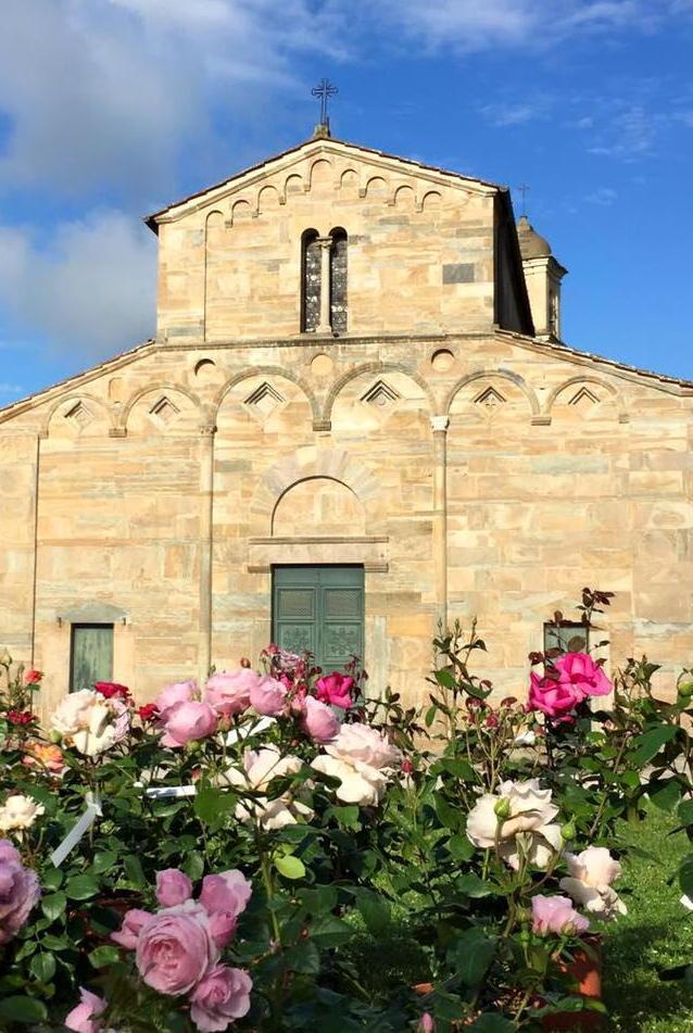 Oggi e domani  fiorisce il castello di Vicopisano 