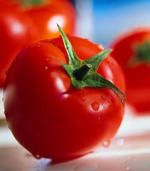 Pomodori arma contro il cancro allo stomaco