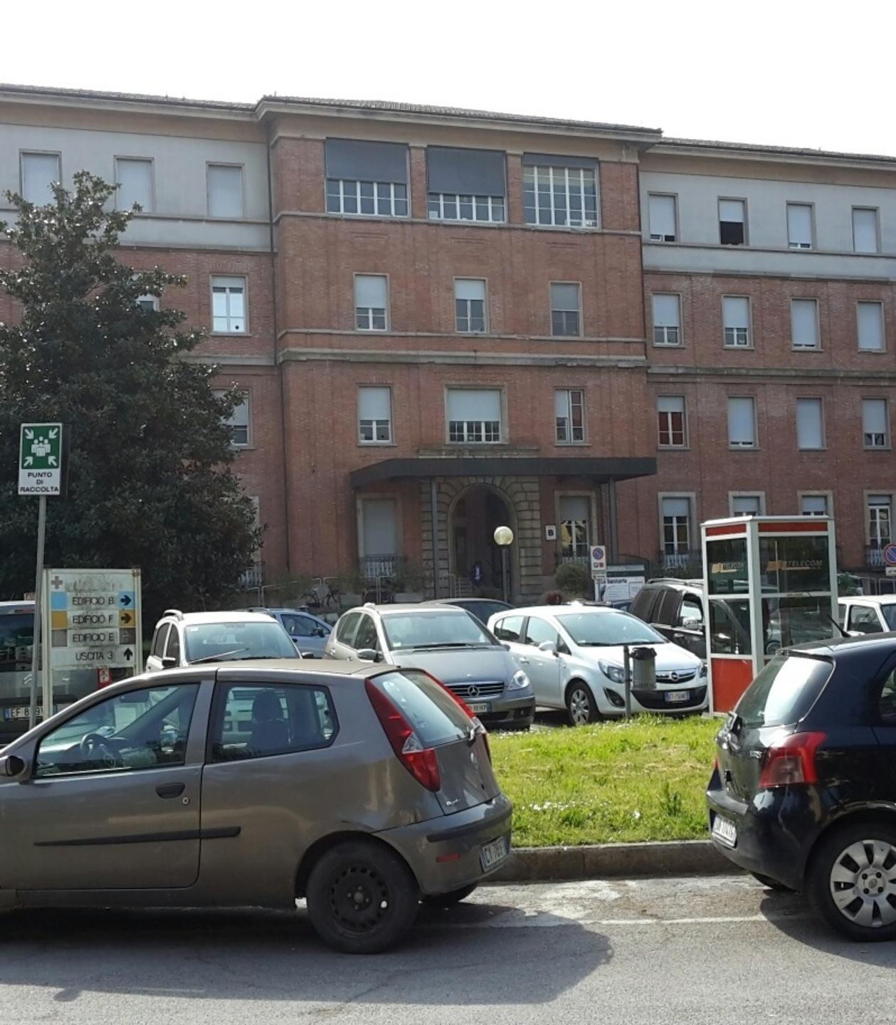 Un polo verde al Campo di Marte dotato di ambulanza veterinaria