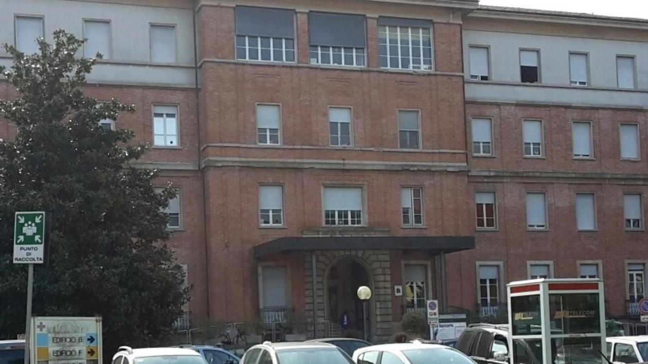 Un polo verde al Campo di Marte dotato di ambulanza veterinaria