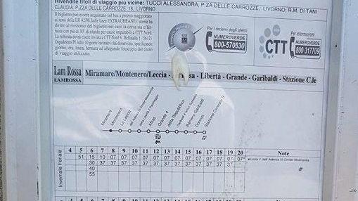 Montenero, Ctt gela i residenti: «2 corse ogni ora bastano»