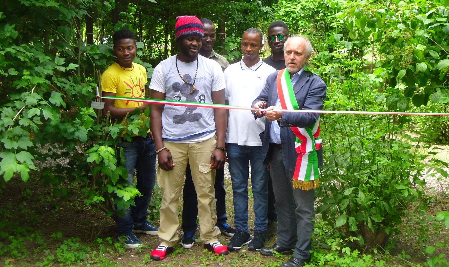 Un bosco per imparare dagli alberi 