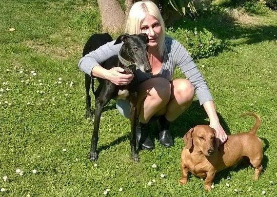 Investe un cane, lo uccide e scappa 