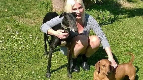Investe un cane, lo uccide e scappa