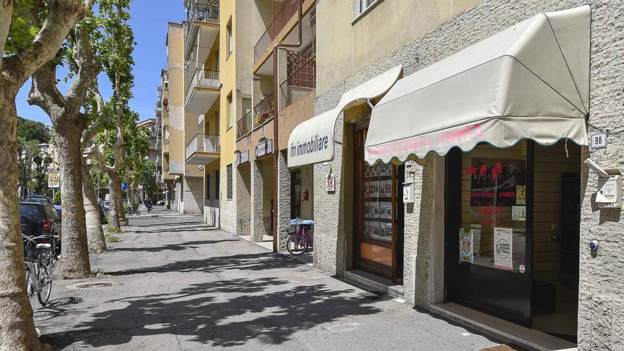 Fioriere e piante fuori legge Ecco come mettersi in regola