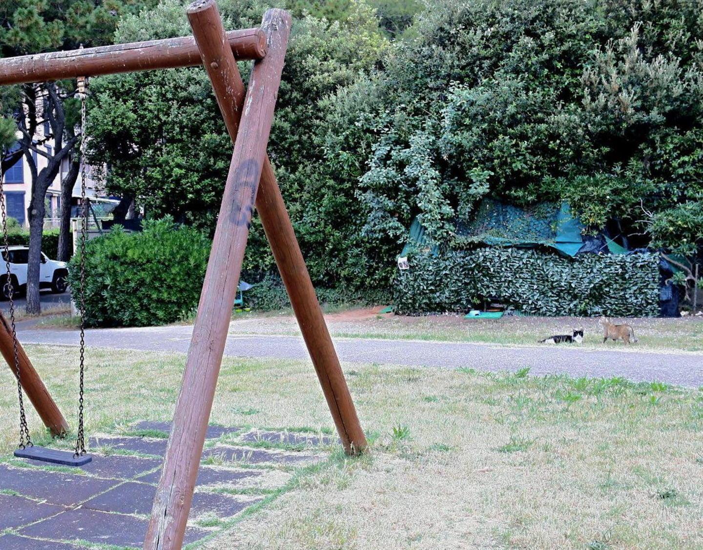 «Una rampa per disabili al posto dell’area per gatti» 