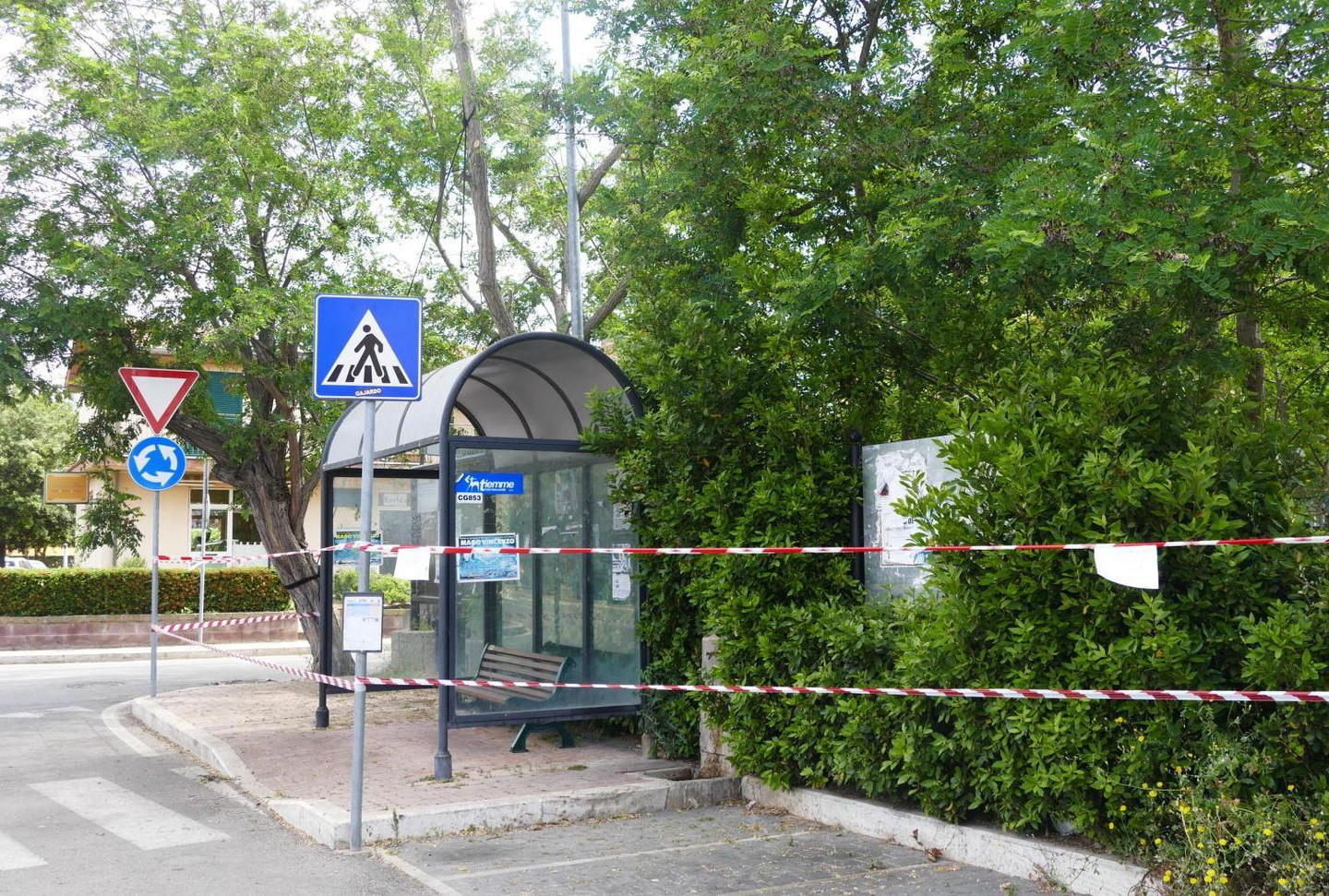 Albero pericolante transennato