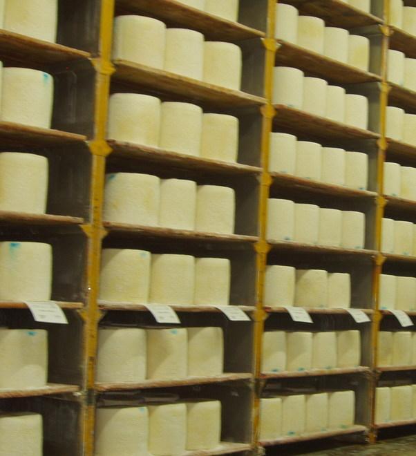 Pecorino romano, l’adesione del Comune di Ollolai al Giro solidale 