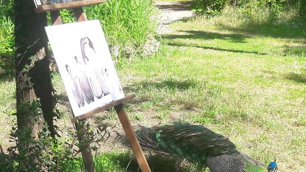 Nuovi soci e convenzione: il rilancio dell’Oasi Wwf