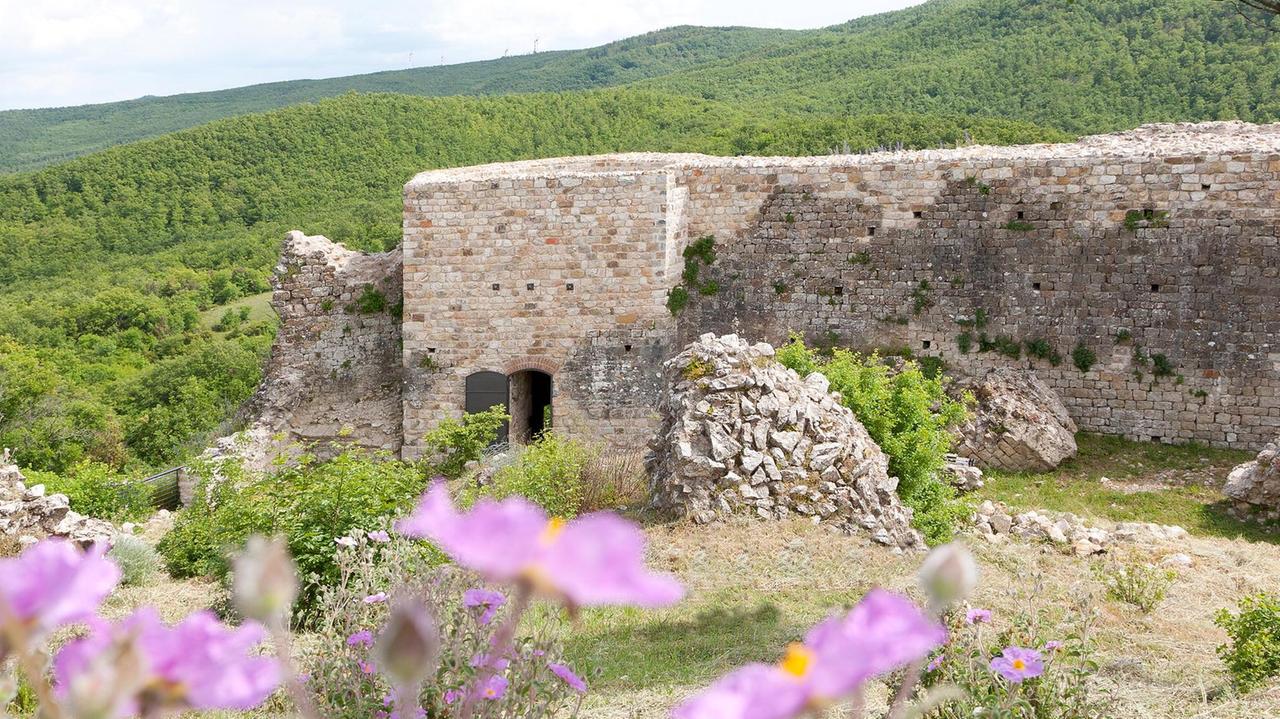 La Rocca di Pietracassia