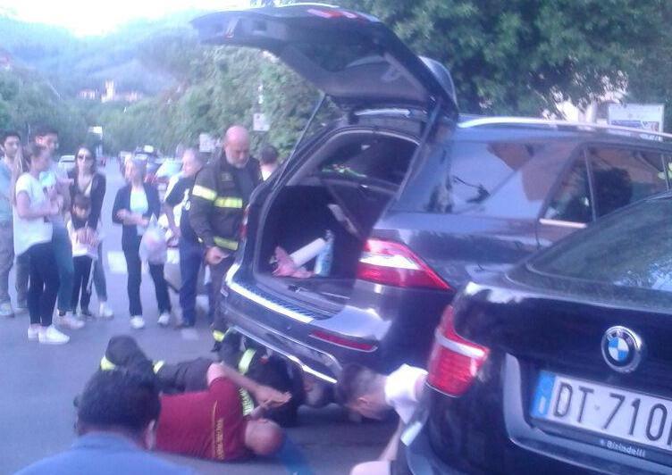 Gattina salvata dai vigili del fuoco