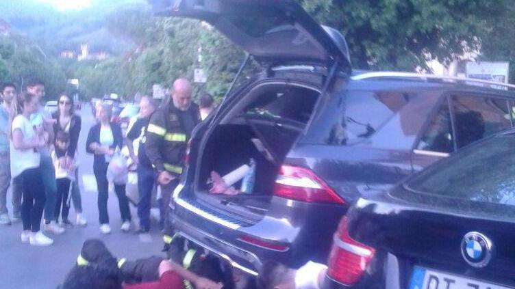Gattina salvata dai vigili del fuoco