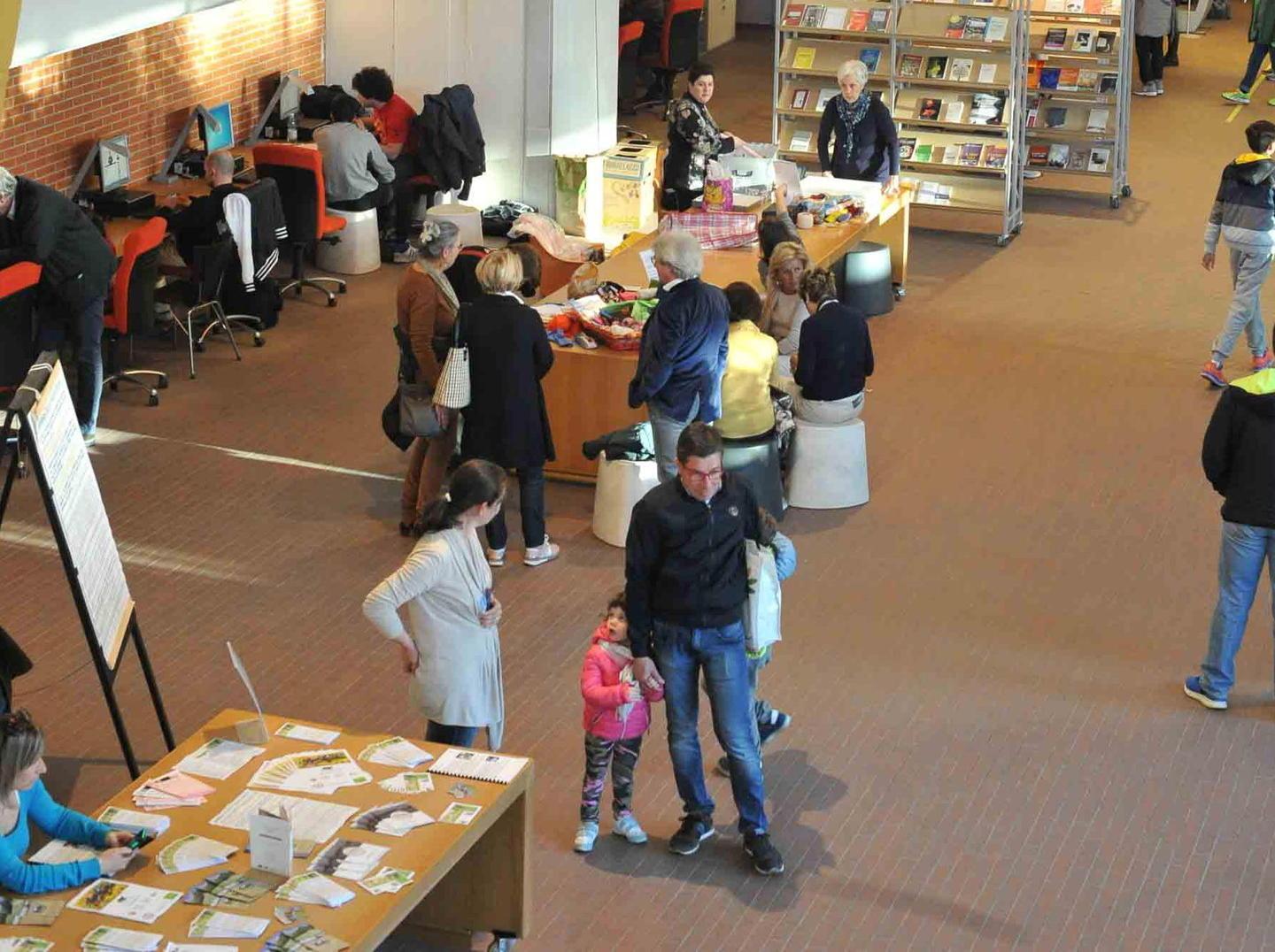 Prestiti in calo, aumentano libri e software 