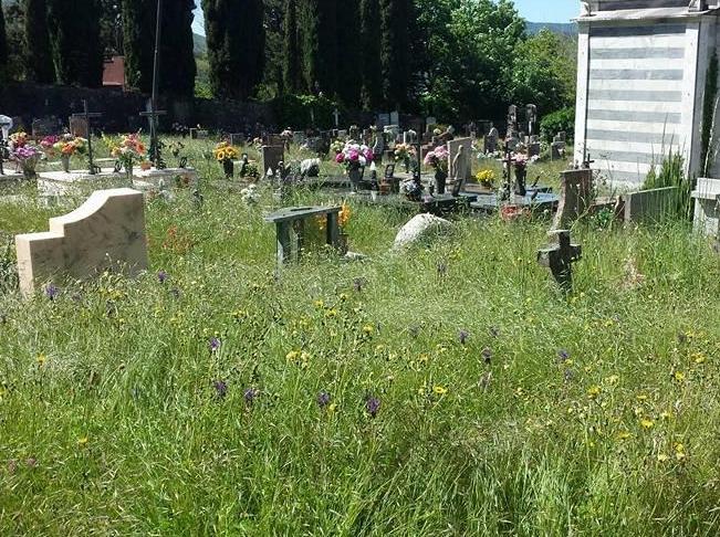 Cimitero o giungla? Proteste a Lizzano 