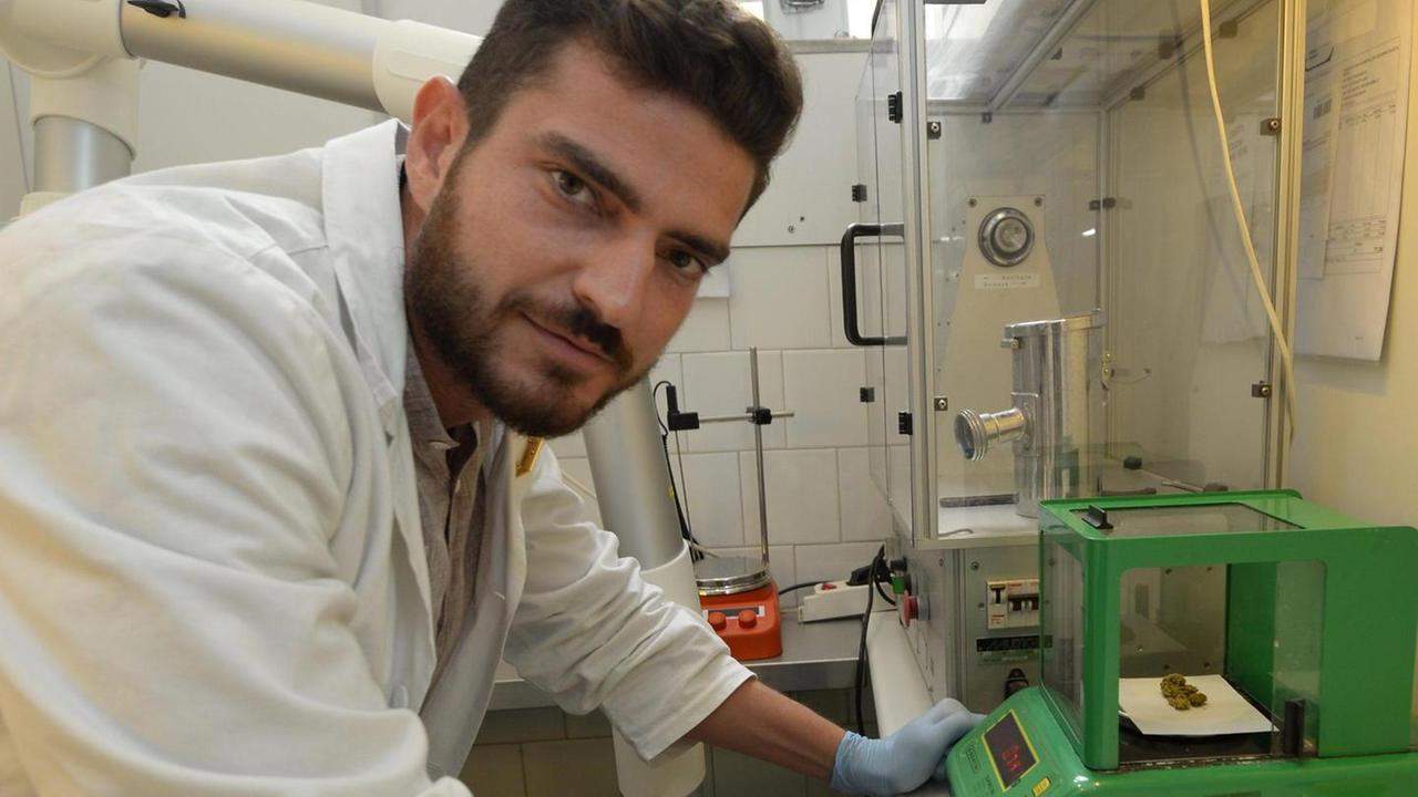 Cannabis, il farmacista multato «Lotteremo per i nostri pazienti»